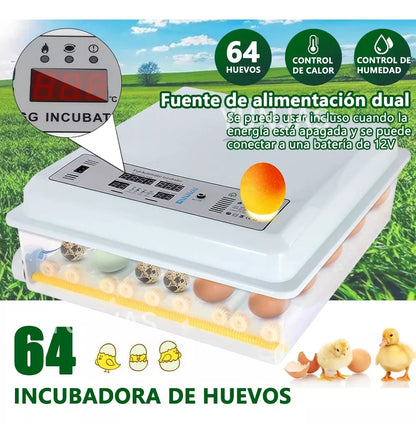 Incubadora Automática  de 64 Huevos