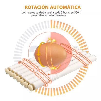Incubadora Automática  de 64 Huevos