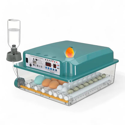 Incubadora Automática de 36 Huevos